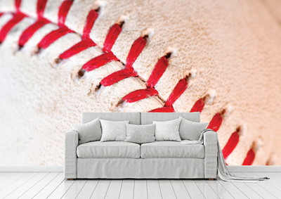 Baseball wall mural canada